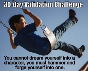 Validation Challenge
